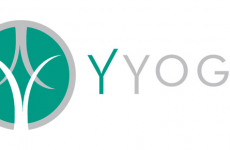 Licensee Profile:
