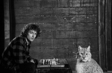 Philippe Brach: Order out of Chaos