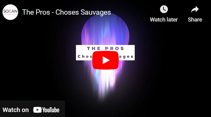 Click the image to watch the interview with Choses Sauvages