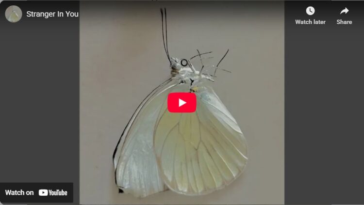 Ebril, StrangerI In You, video