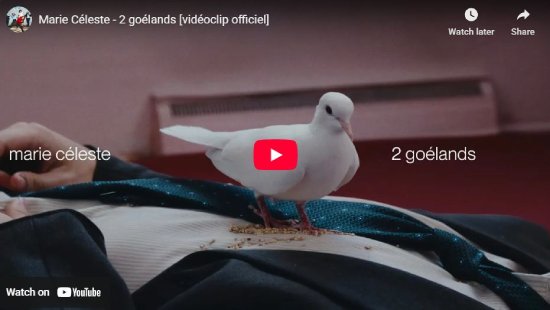 Marie Celeste, Deux goélands, video